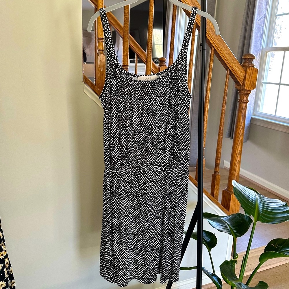 Anne Taylor Loft Dress